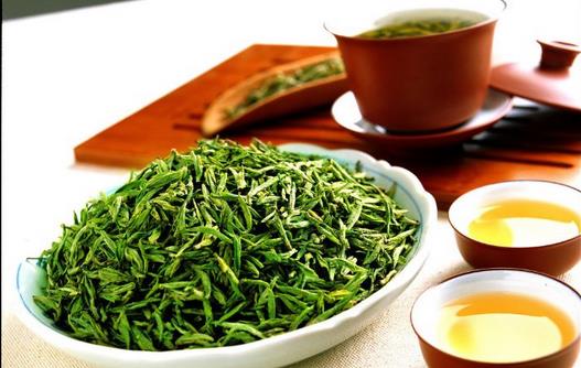 品牌化、健康化、多元化將是茶葉產(chǎn)業(yè)發(fā)展的重要趨勢(shì)???