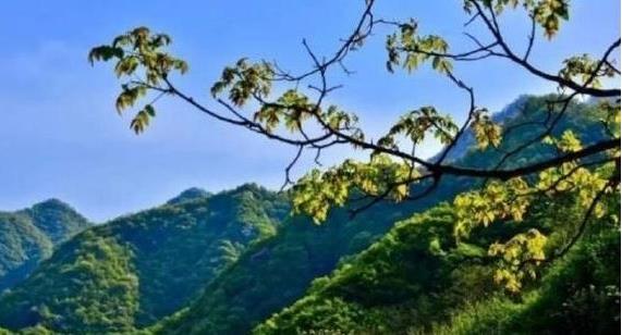 陜西省政府：印發(fā)《秦嶺生態(tài)環(huán)境保護行動方案》，持之以恒有效保護秦嶺這一國家重要生態(tài)安全屏障