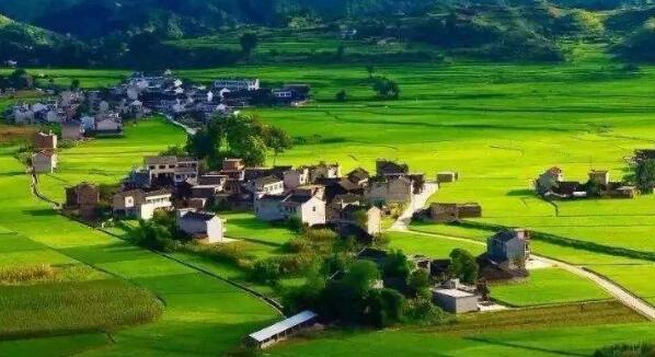 去年全國鄉(xiāng)村旅游總?cè)舜螢?0.9億人次，同比增加9.7%