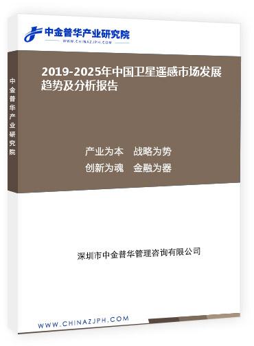 2019-2025年中國衛(wèi)星遙感市場發(fā)展趨勢及分析報(bào)告